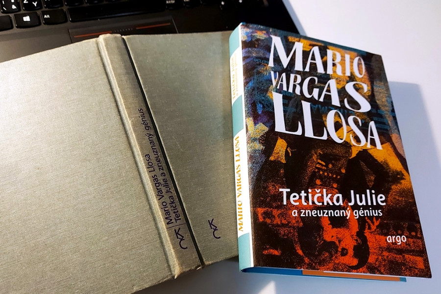 M. V. Llosa: Tetika Julie a zneuznan gnius