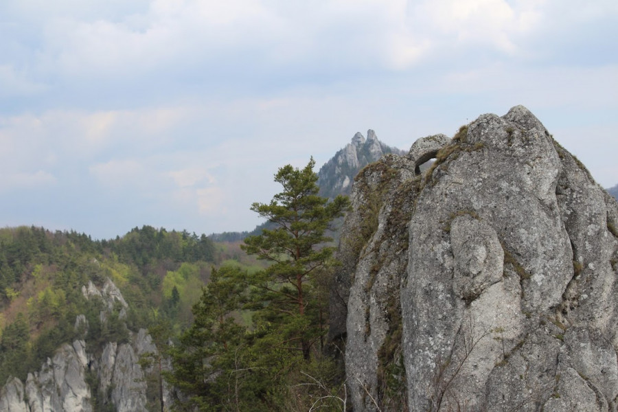 Slovsk skaly - vhled ze Slovskho hradu