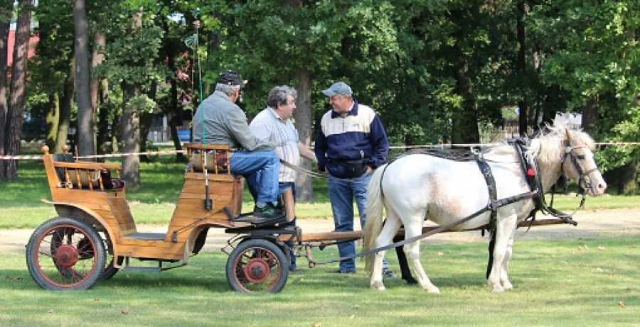 Koně s vozíkem