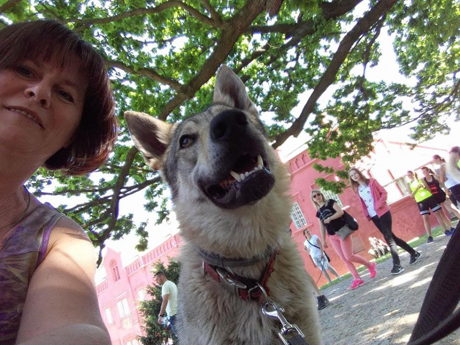 Selfie s vlkem, Bh pro tulek v Cibouov