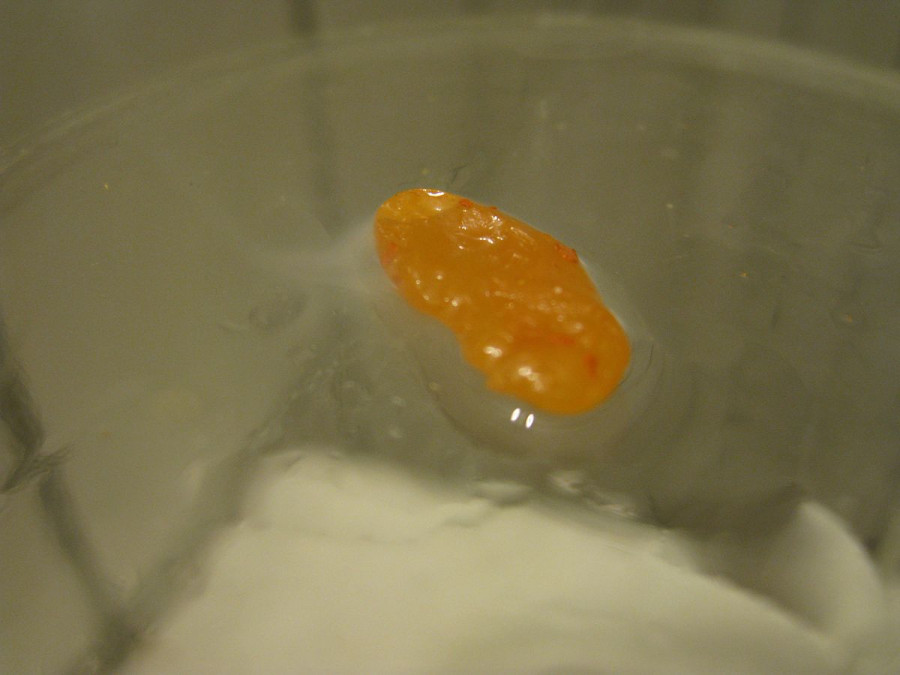 Obrázek: Bílý fosfor, podobný jantaru. Zdroj: Dnn87 / CC BY-SA (https://creativecommons.org/licenses/by-sa/3.0), https://upload.wikimedia.org/wikipedia/commons/3/37/White_P.jpg