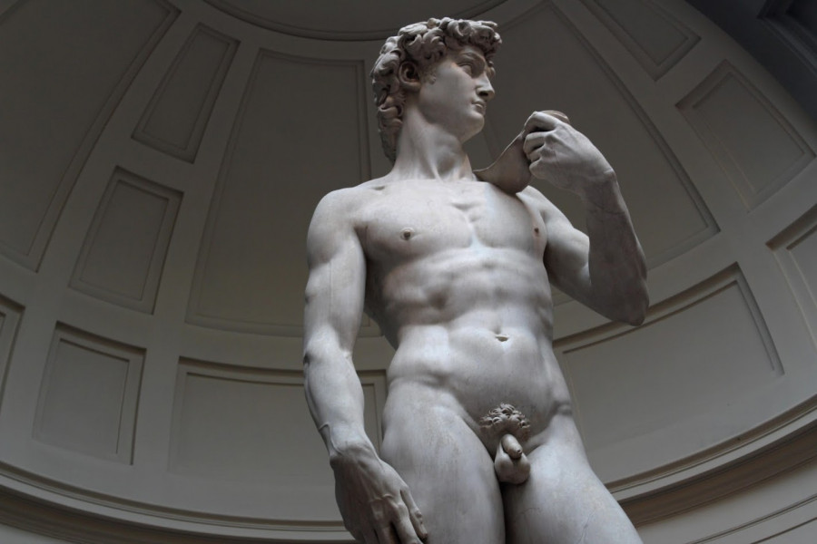Galleria dell'Accademia - David (Michelangelo)